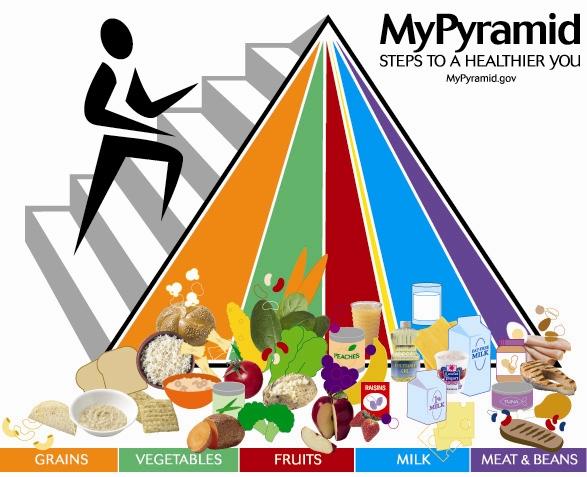 過好生活營養師wangwang 美國飲食金字塔