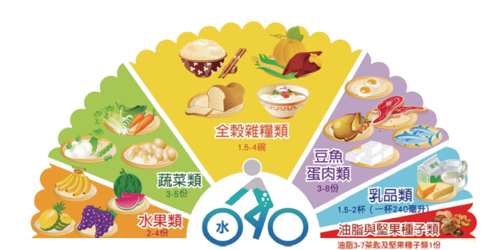 過好生活•營養師WangWang 國民飲食指南－扇形圖
